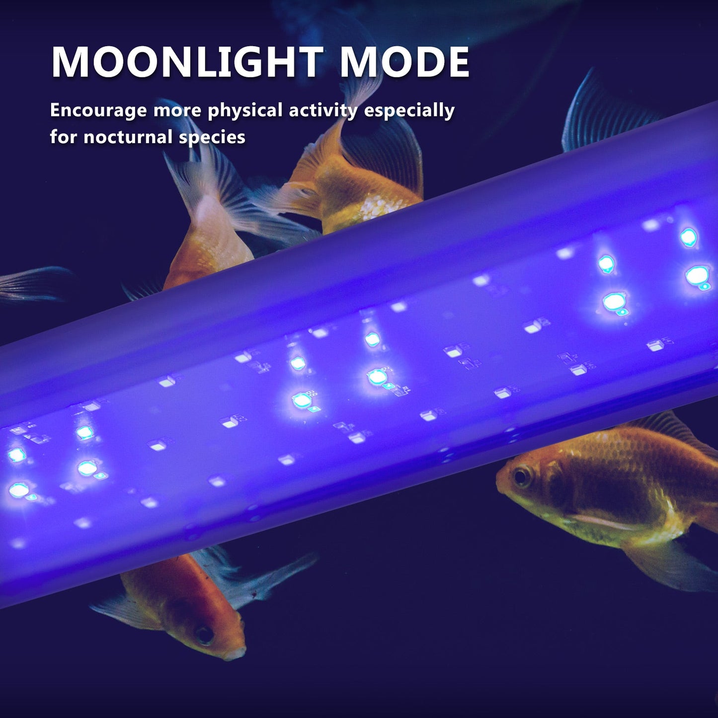 Dynamic Power | 27W Aquarium Blue White LED Light for Tank 95 - 115cm | Cradle Coast Pet & Aquarium