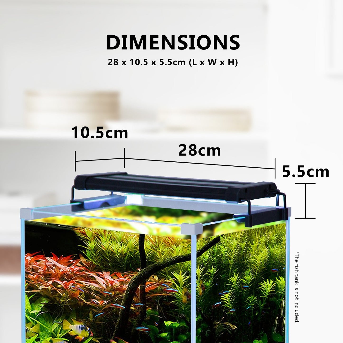 Dynamic Power | 6W Aquarium Blue White LED Light for Tank 30 - 50cm | Cradle Coast Pet & Aquarium