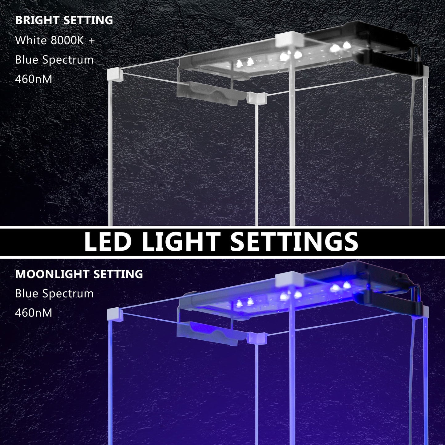 Dynamic Power | 6W Aquarium Blue White LED Light for Tank 30 - 50cm | Cradle Coast Pet & Aquarium
