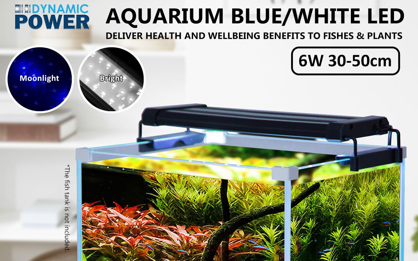 Dynamic Power | 6W Aquarium Blue White LED Light for Tank 30 - 50cm | Cradle Coast Pet & Aquarium