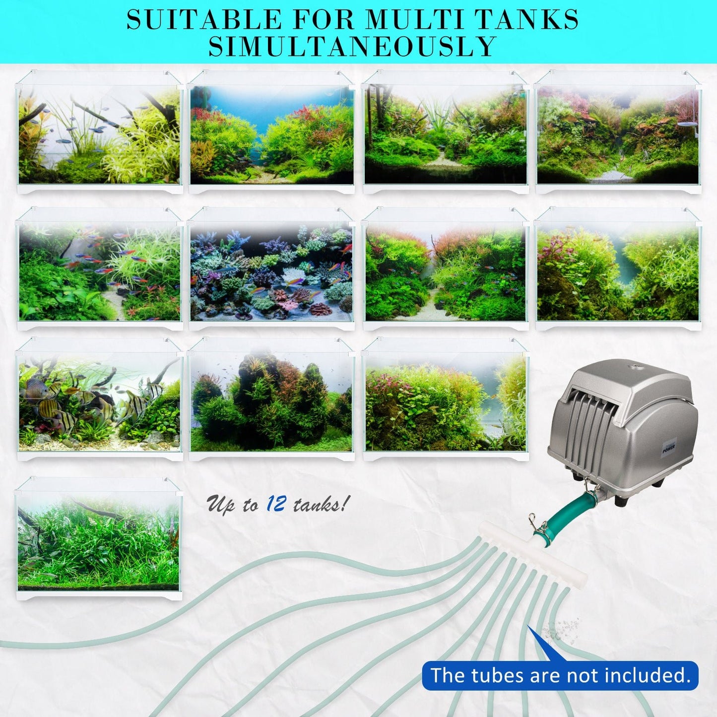 Dynamic Power | Aquarium Air Pump Oxygen Hydroponic 12 Outlet 4500L/H 65W | Cradle Coast Pet & Aquarium