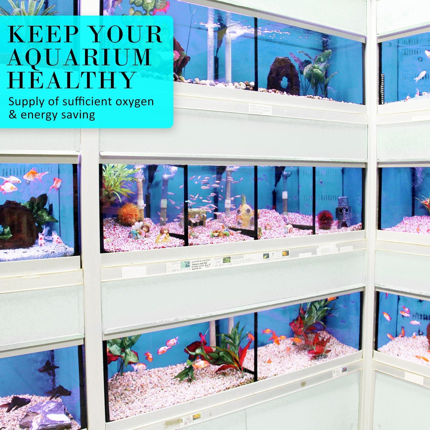 Dynamic Power | Aquarium Air Pump Oxygen Hydroponic 12 Outlet 4500L/H 65W | Cradle Coast Pet & Aquarium
