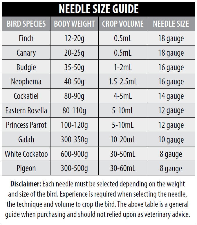 Bainbridge|Bird Crop Needle Set|Cradle Coast Pet & Aquarium