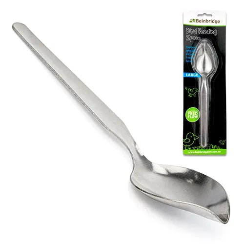 Bainbridge|Bird Feeding Spoon|Cradle Coast Pet & Aquarium