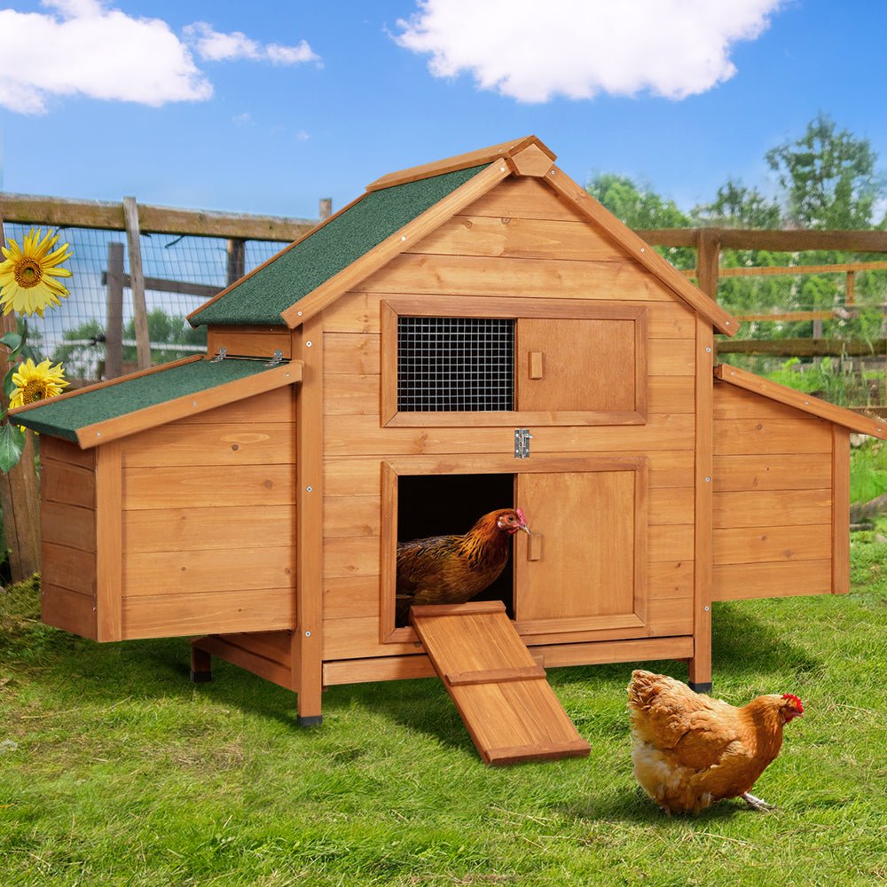 Cradle Coast Pet & Aquarium | i.Pet Chicken Coop Rabbit Hutch 150cm x 68cm x 96cm Large Chicken Coop House Run Cage Wooden | Cradle Coast Pet & Aquarium