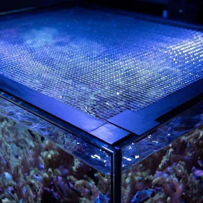Waterbox|Marine X Mesh Lid System|Cradle Coast Pet & Aquarium
