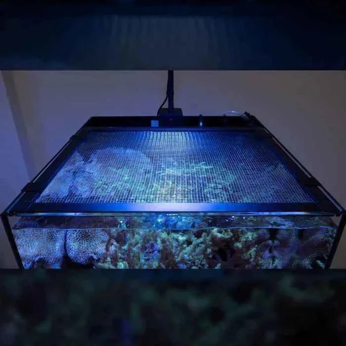 Waterbox|Marine X Mesh Lid System|Cradle Coast Pet & Aquarium