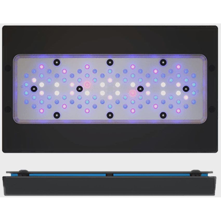 EcoTech Marine | Radion XR30 Gen6 Blue LED Light | Cradle Coast Pet & Aquarium