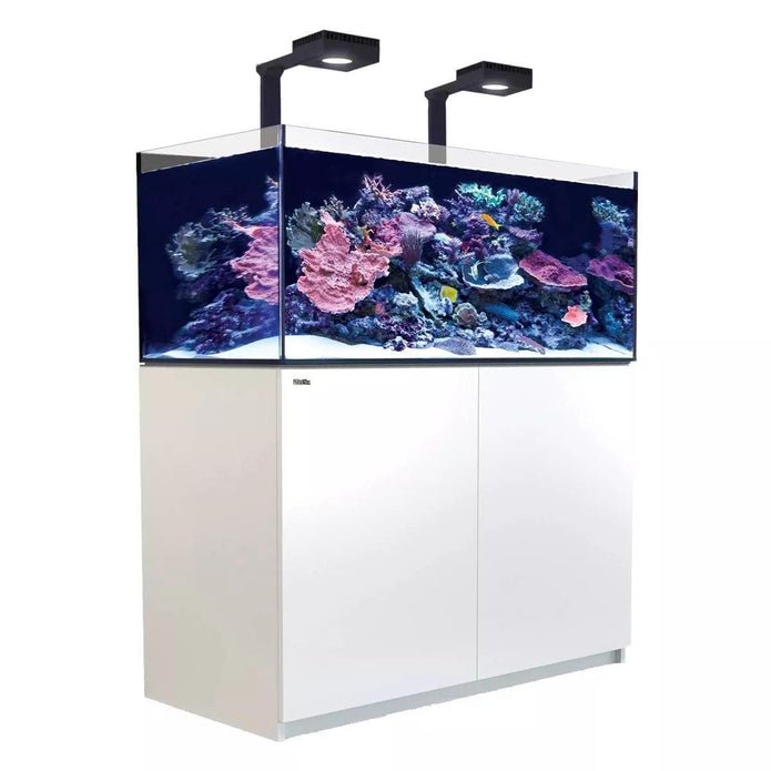 Red Sea|Reefer 425 G2+ Deluxe|Cradle Coast Pet & Aquarium