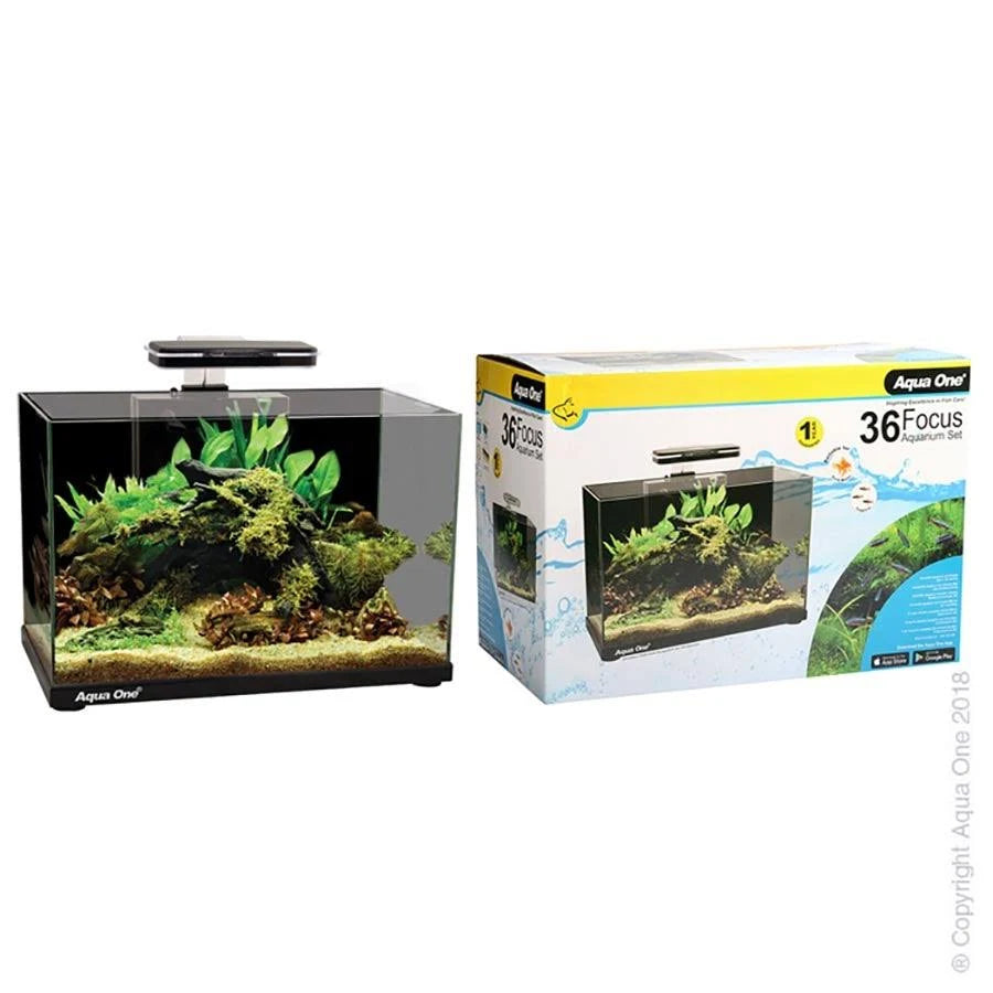 Aqua One Focus 36 Glass Aquarium - Cradle Coast Pet & Aquarium