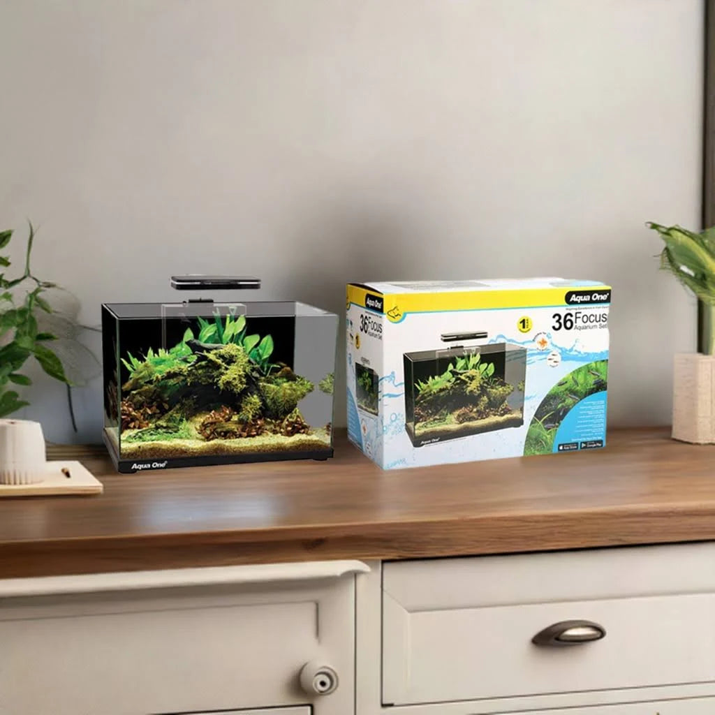 Aqua One Focus 36 Glass Aquarium - Cradle Coast Pet & Aquarium