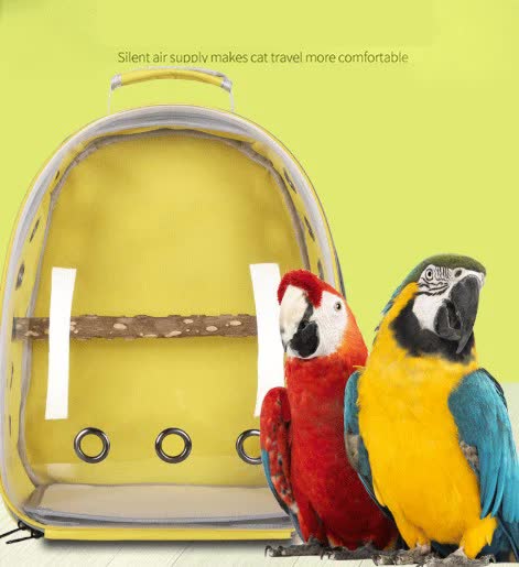 DSZ | Stylish Transparent PVC Pet Carrier Backpack – Black | Cradle Coast Pet & Aquarium