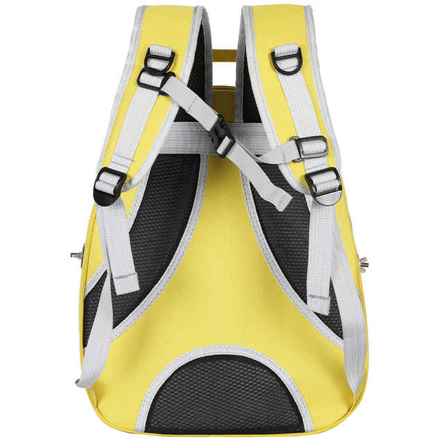DSZ | Stylish Transparent PVC Pet Carrier Backpack – Blue | Cradle Coast Pet & Aquarium