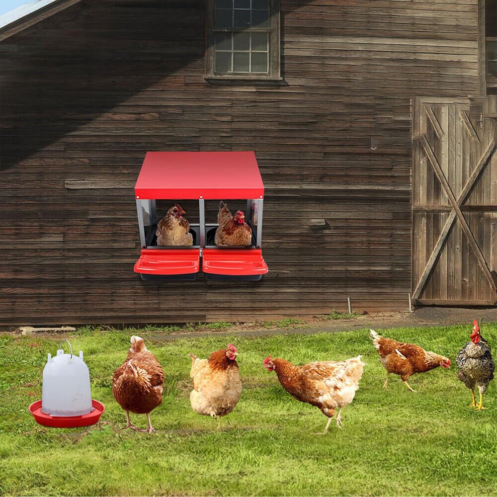 Cradle Coast Pet & Aquarium | VaKa Chicken Hen Coop Hutch 2 Hole Inside Outside Roll Away Lay Egg Nesting Box | Cradle Coast Pet & Aquarium