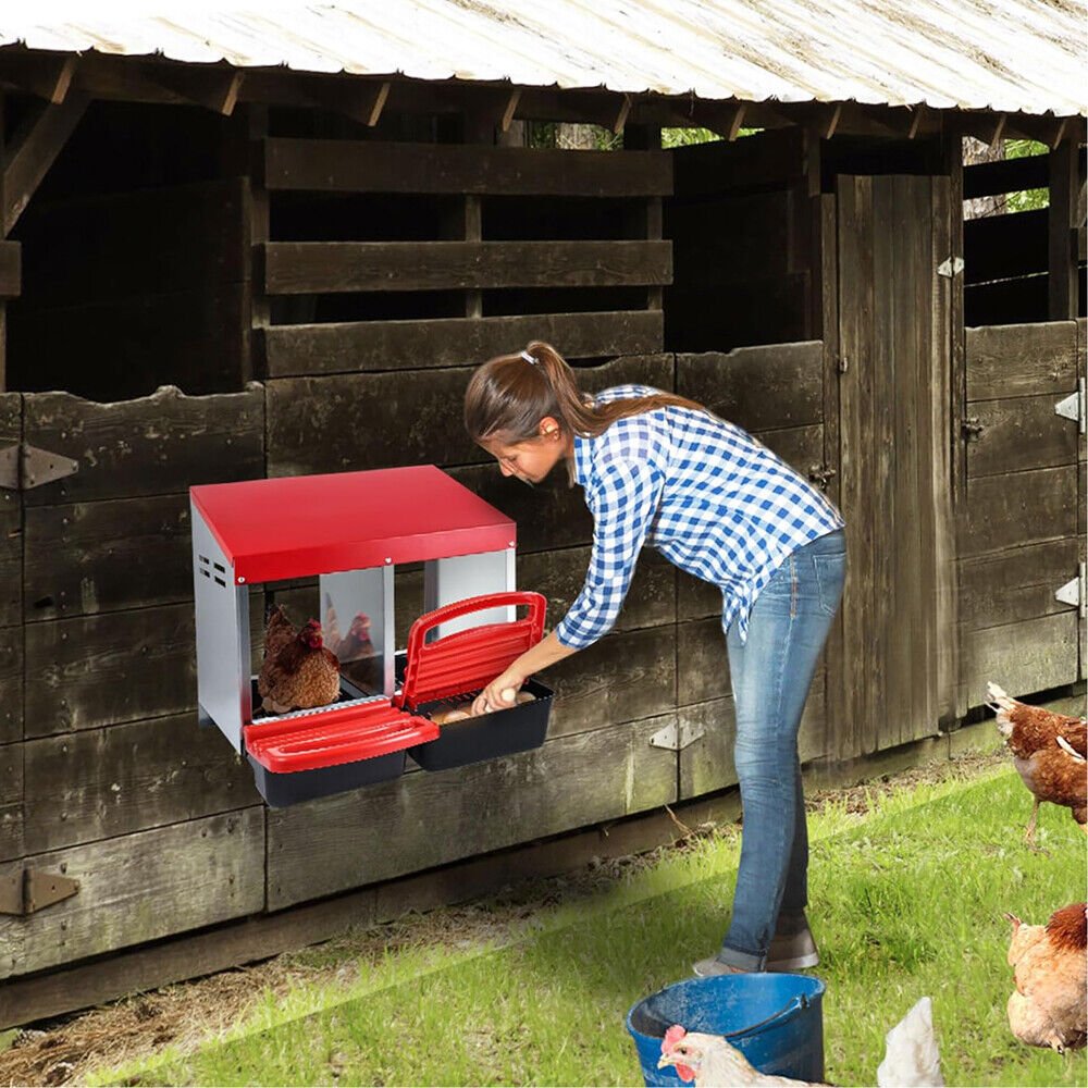 Cradle Coast Pet & Aquarium | VaKa Chicken Hen Coop Hutch 2 Hole Inside Outside Roll Away Lay Egg Nesting Box | Cradle Coast Pet & Aquarium
