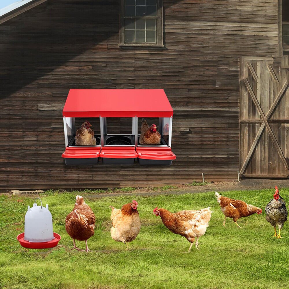 Cradle Coast Pet & Aquarium | VaKa Chicken Hen Coop Hutch 3 Hole Inside Outside Roll Away Lay Egg Nesting Box | Cradle Coast Pet & Aquarium
