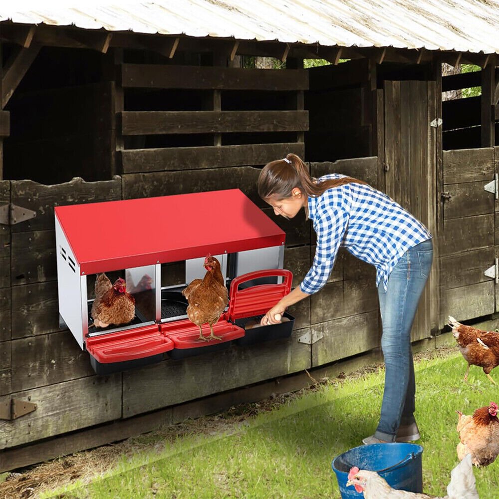 Cradle Coast Pet & Aquarium | VaKa Chicken Hen Coop Hutch 3 Hole Inside Outside Roll Away Lay Egg Nesting Box | Cradle Coast Pet & Aquarium