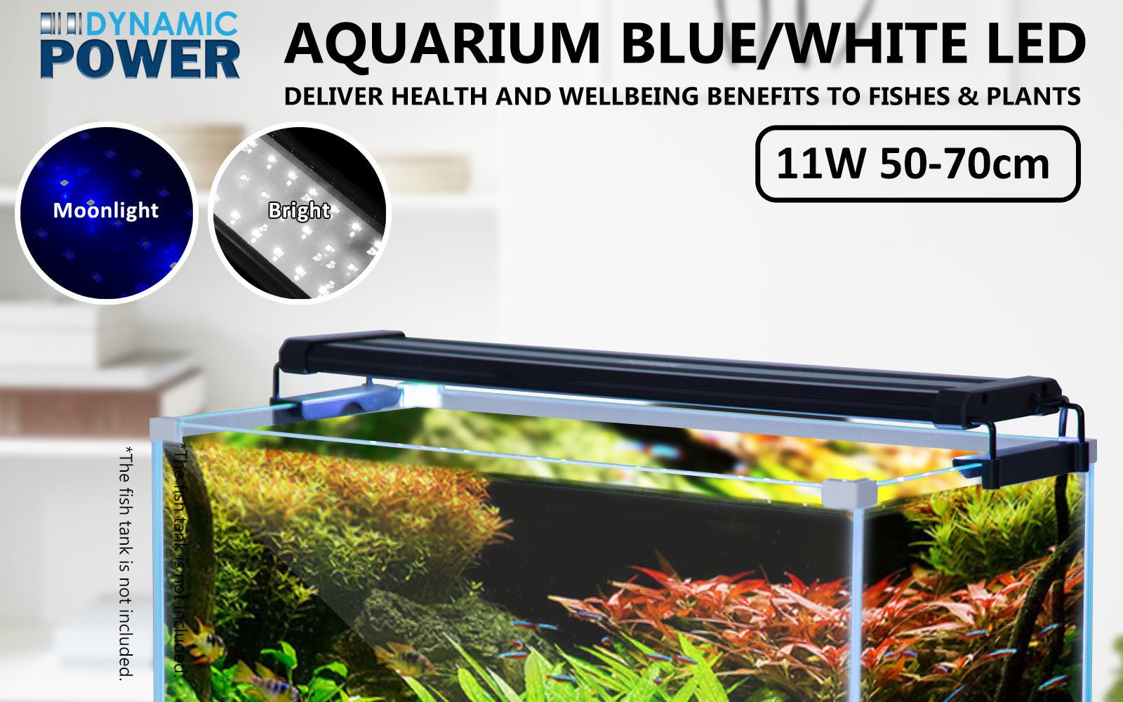 Dynamic Power | 11W Aquarium Blue White LED Light for Tank 50 - 70cm | Cradle Coast Pet & Aquarium