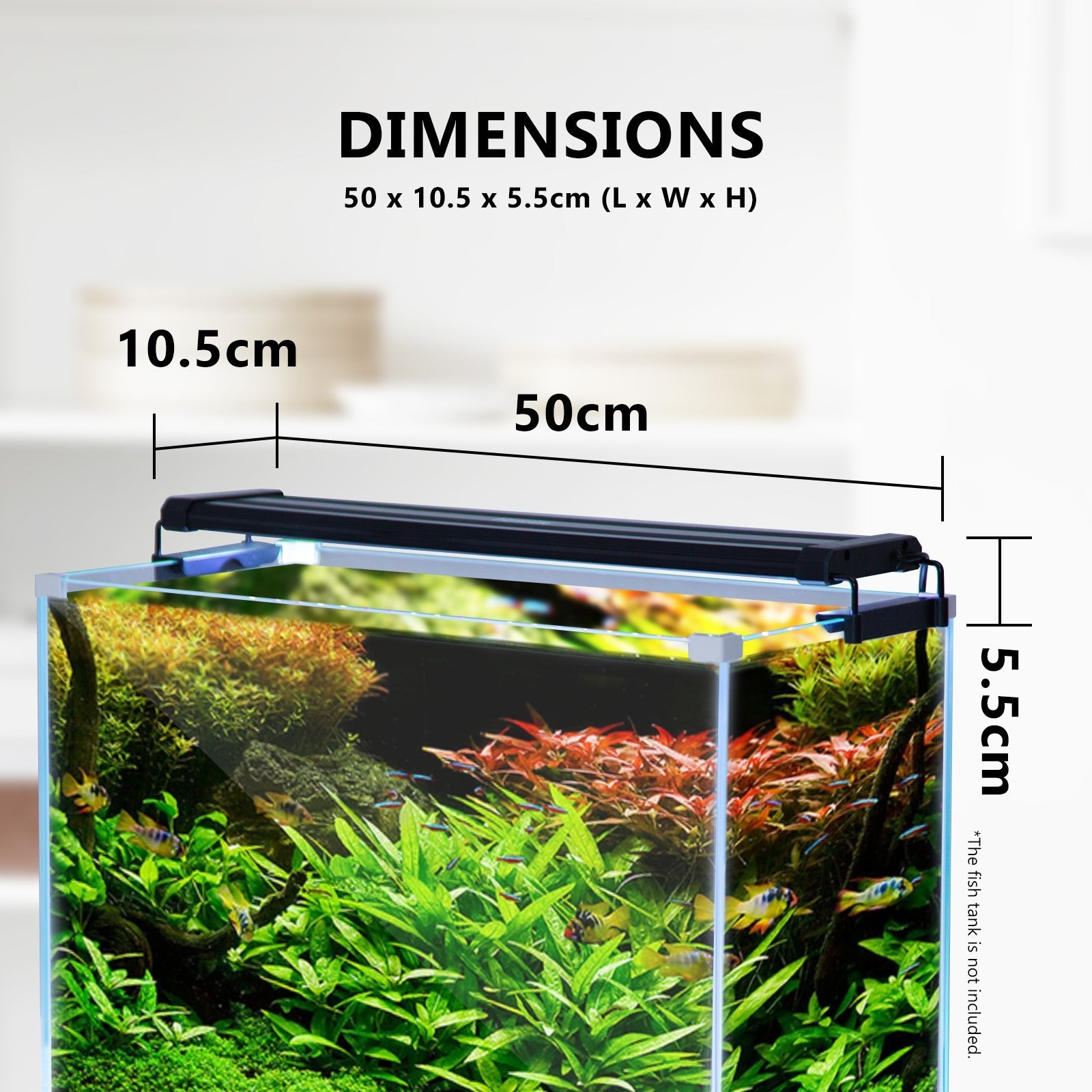 Dynamic Power | 11W Aquarium Blue White LED Light for Tank 50 - 70cm | Cradle Coast Pet & Aquarium