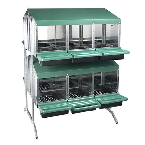 Bainbridge|12 Hole Battery Nest Box with Legs - Double Row, Double Sided|Cradle Coast Pet & Aquarium