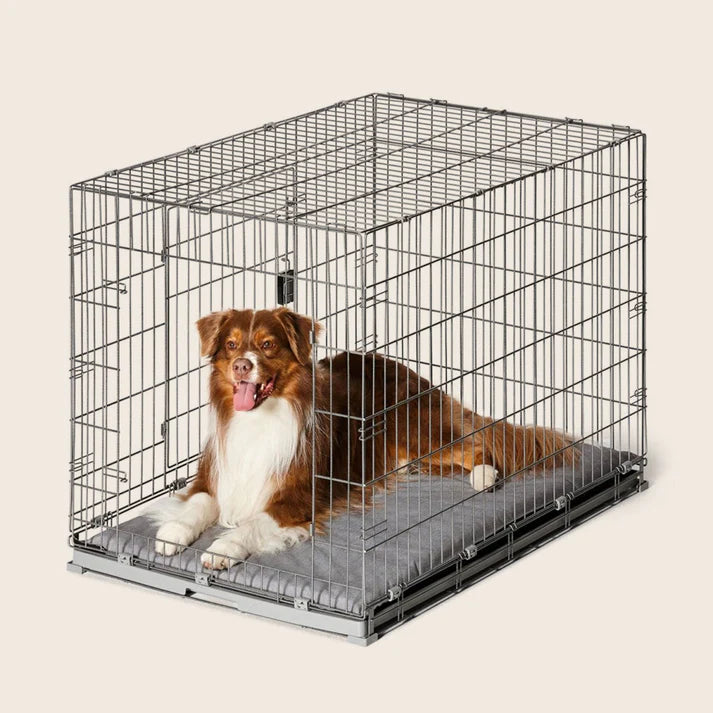 snooza - 2 in 1 convertible training crate - cradle coast pet & aquarium