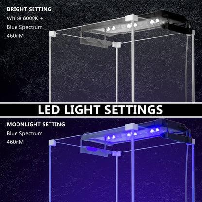 Dynamic Power | 6W Aquarium Blue White LED Light for Tank 30 - 50cm | Cradle Coast Pet & Aquarium