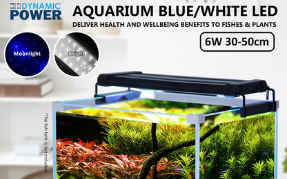 Dynamic Power | 6W Aquarium Blue White LED Light for Tank 30 - 50cm | Cradle Coast Pet & Aquarium