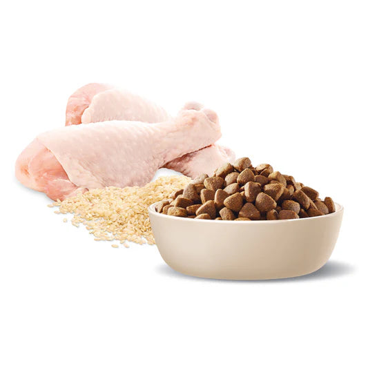 advance adult all breed chicken with rice dog food