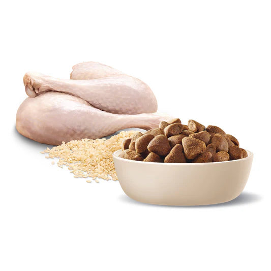 advance adult large breed turkey with rice dry dog food