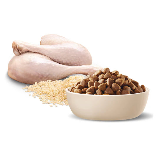 advance adult medium breed turkey dry dog food