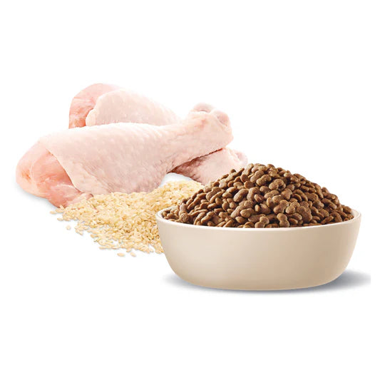 advance adult toy & small breed chicken dry dog food