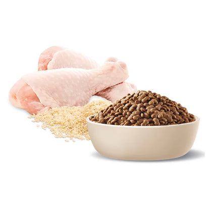 Advance Adult Toy & Small Breed Chicken Dry Dog Food