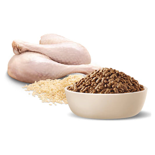 advance adult toy & small breed turkey dry dog food