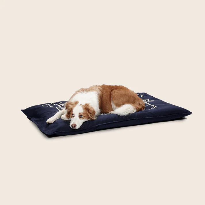 snooza organic pet futon - blue - cradle coast pet & aquarium