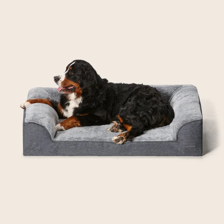 snooza ortho dream sofa - cradle coast pet & aquarium