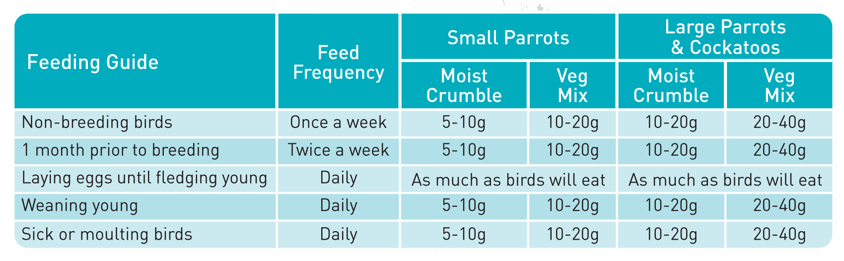 Passwell Parrot Soft Food - Cradle Coast Pet & Aquarium