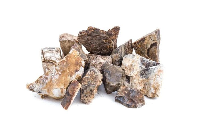 natural products petrified wood - per kg