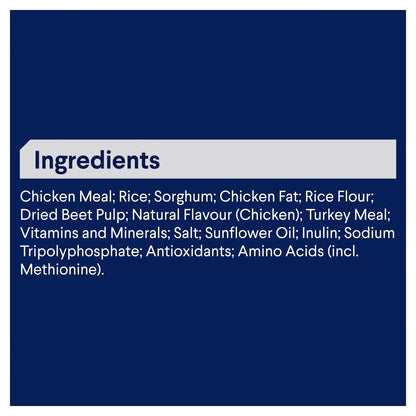 Advance|Adult Small Breed Chicken with Rice Dry Dog Food|Cradle Coast Pet & Aquarium