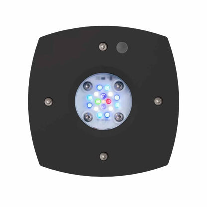 AI Prime 16 HD Reef LED Light - Black Body - Cradle Coast Pet & Aquarium