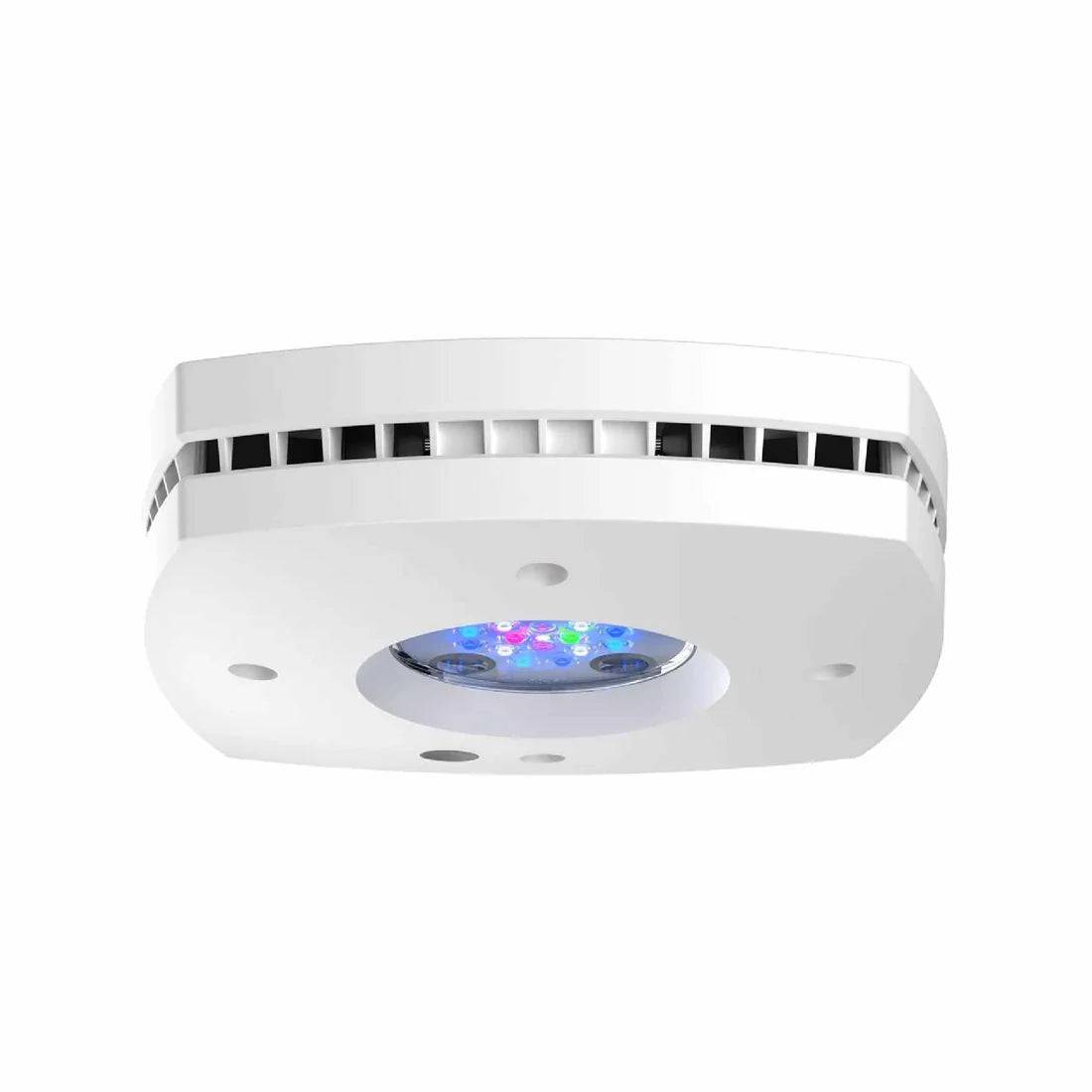 ai prime 16 hd reef led light - white body - cradle coast pet & aquarium