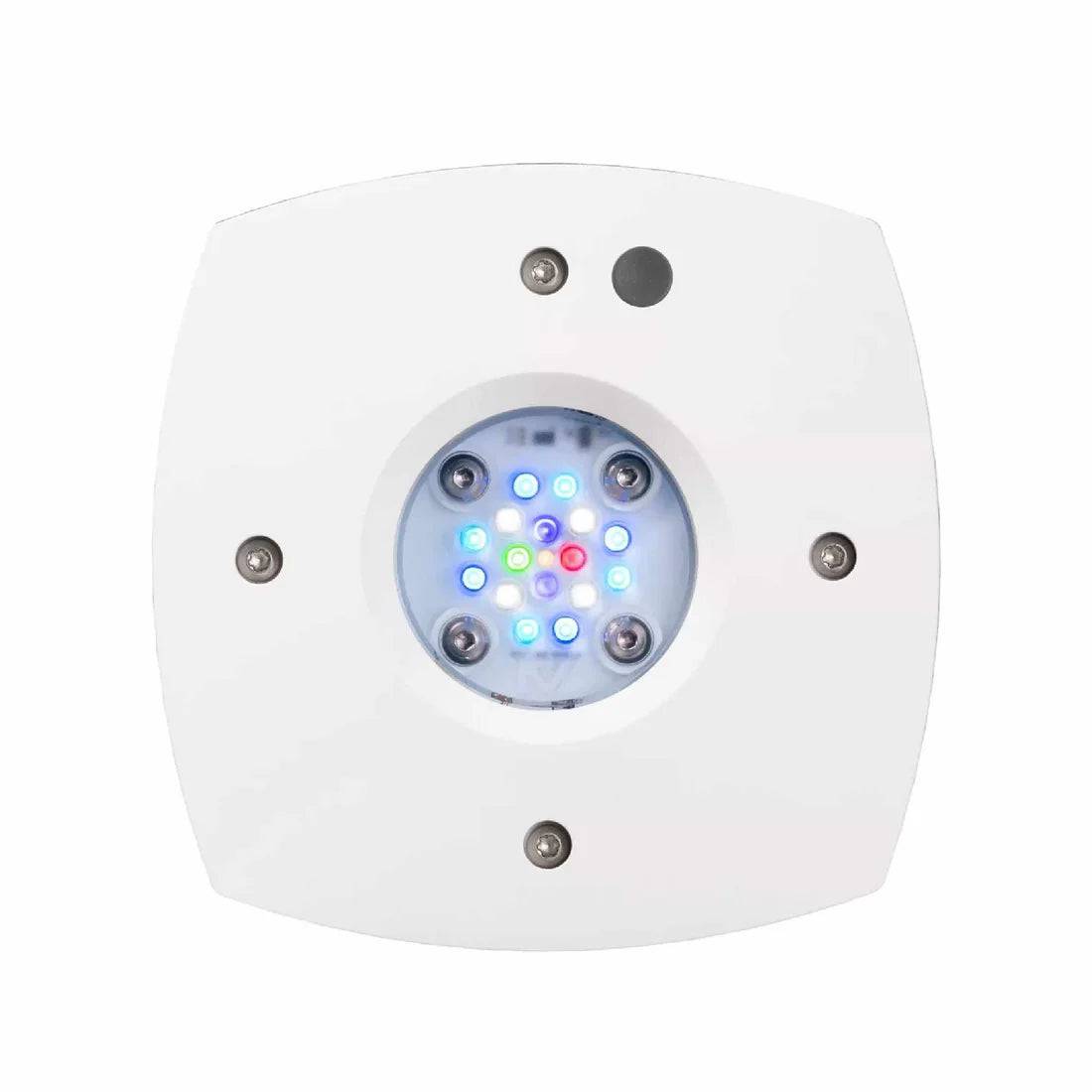 ai prime 16 hd reef led light - white body - cradle coast pet & aquarium