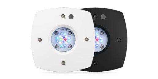 ai prime 16 hd reef led light - white body - cradle coast pet & aquarium