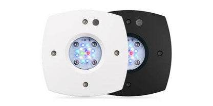 AI Prime 16 HD Reef LED Light - White Body - Cradle Coast Pet & Aquarium