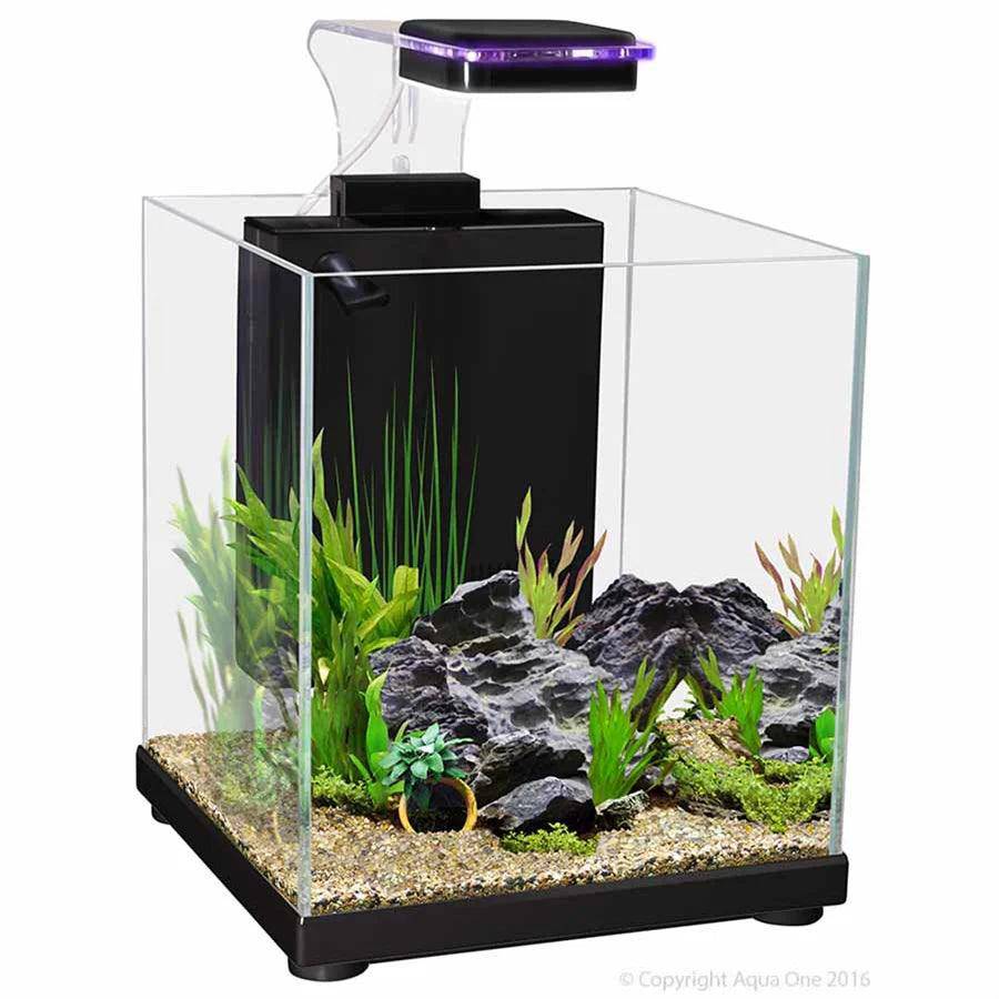 aqua one bt 10 betta glass aquarium - cradle coast pet & aquarium