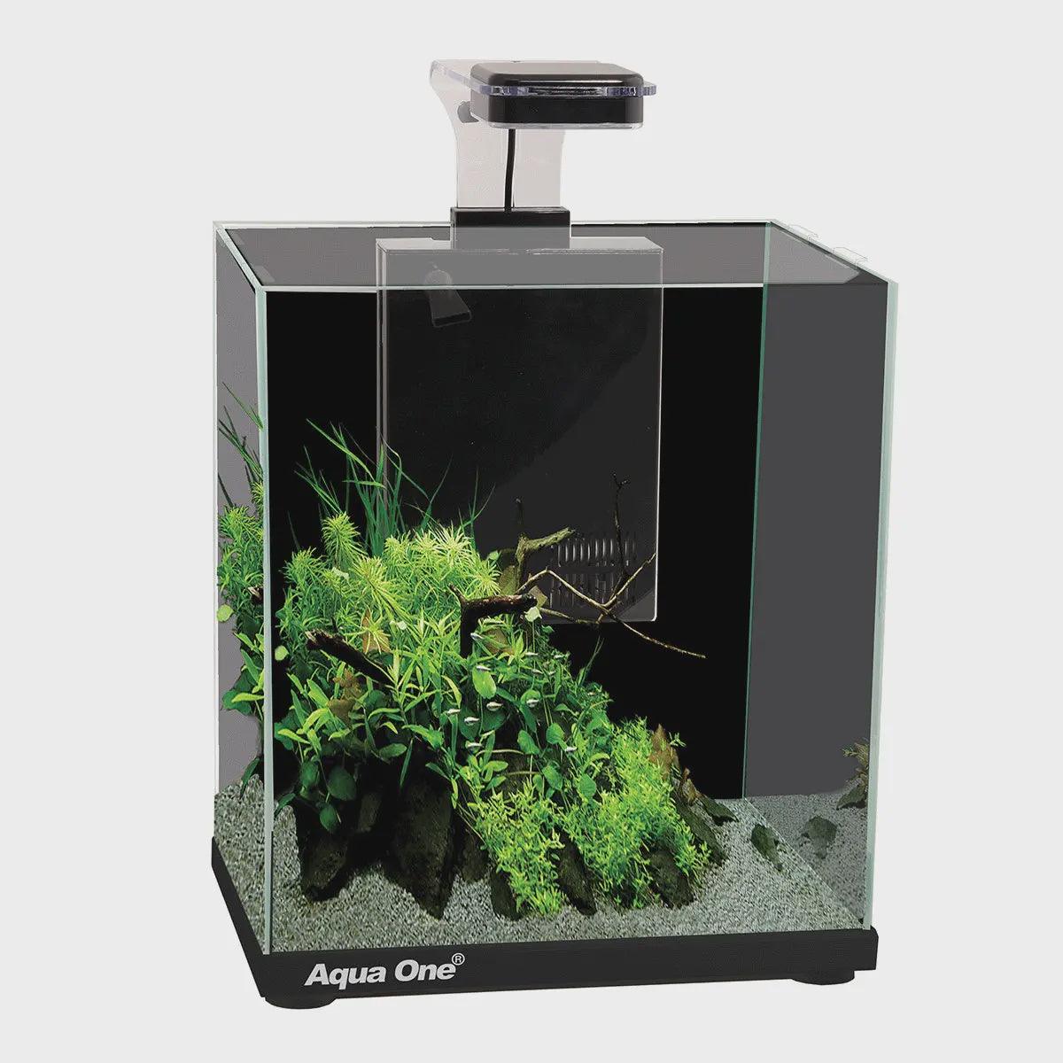 aqua one focus 23 glass aquarium - cradle coast pet & aquarium