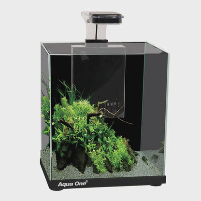 Aqua One Focus 23 Glass Aquarium - Cradle Coast Pet & Aquarium