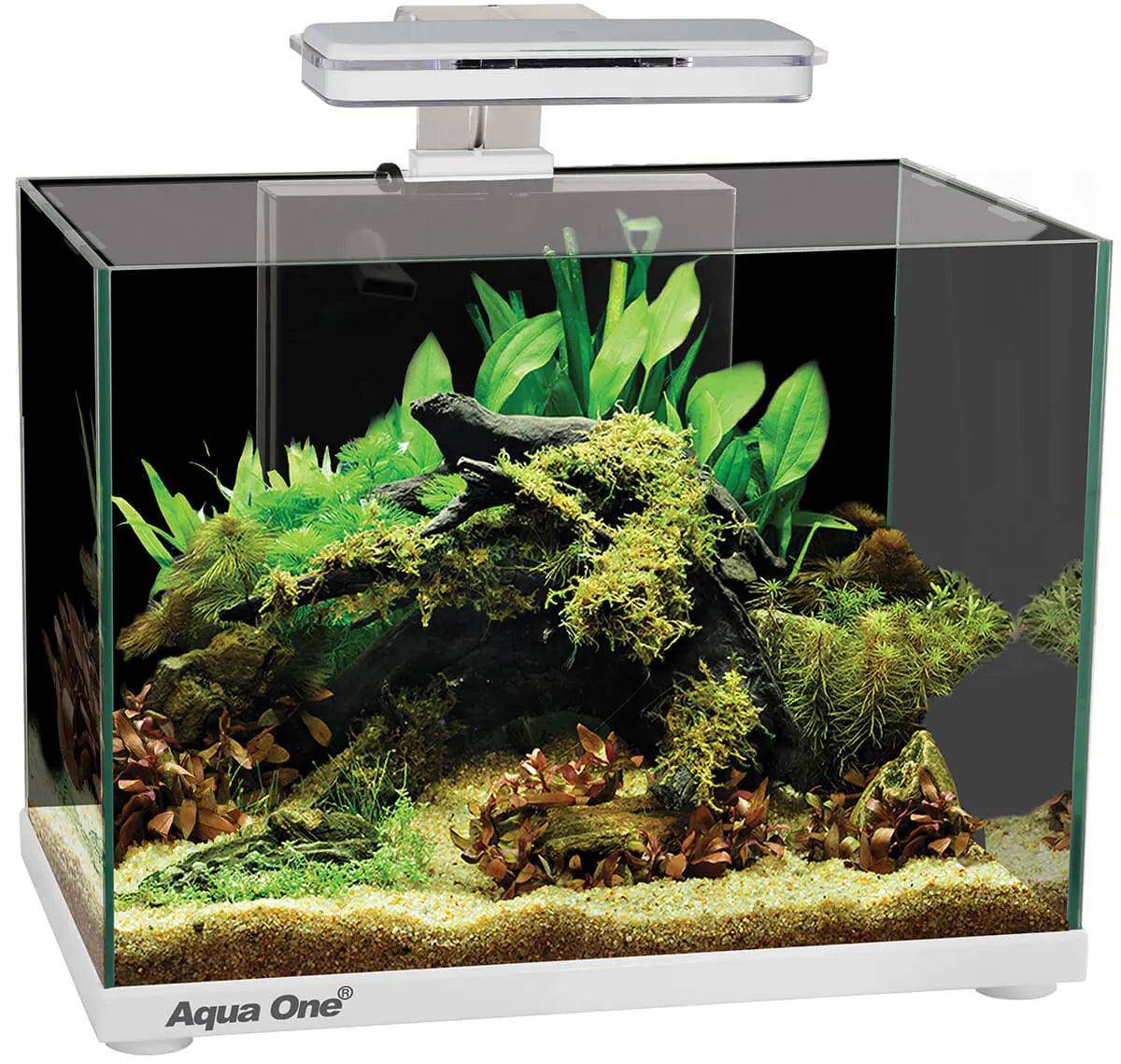 aqua one focus 25 glass aquarium - cradle coast pet & aquarium