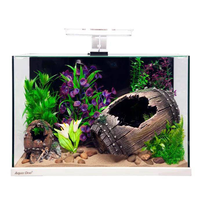 aqua one focus 36 glass aquarium - cradle coast pet & aquarium