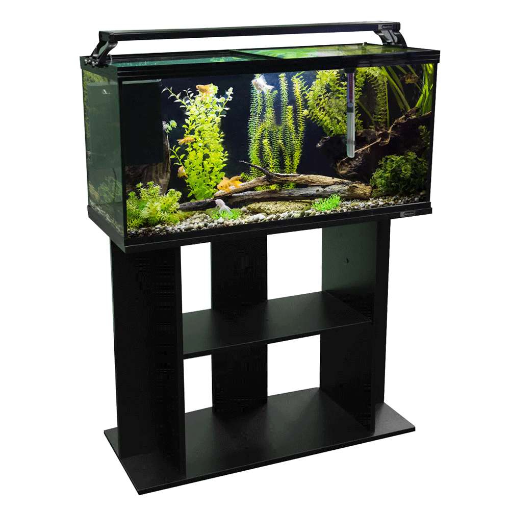 aqua one horizon 130 glass starter kit with stand - cradle coast pet & aquarium