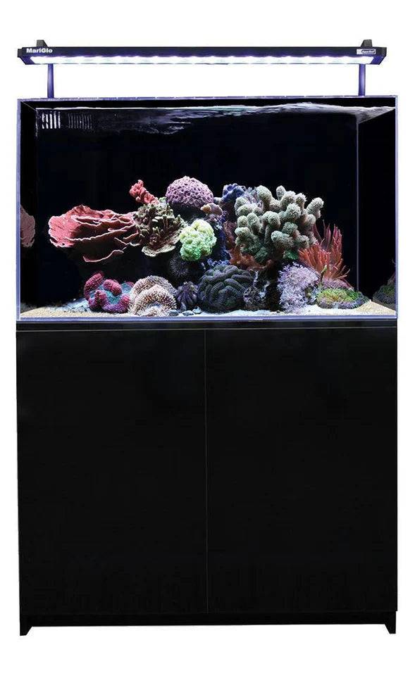 aqua one mini reef 160 marine aquarium set - cradle coast pet & aquarium